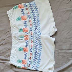 COPY - Chubbies Swim Trunks